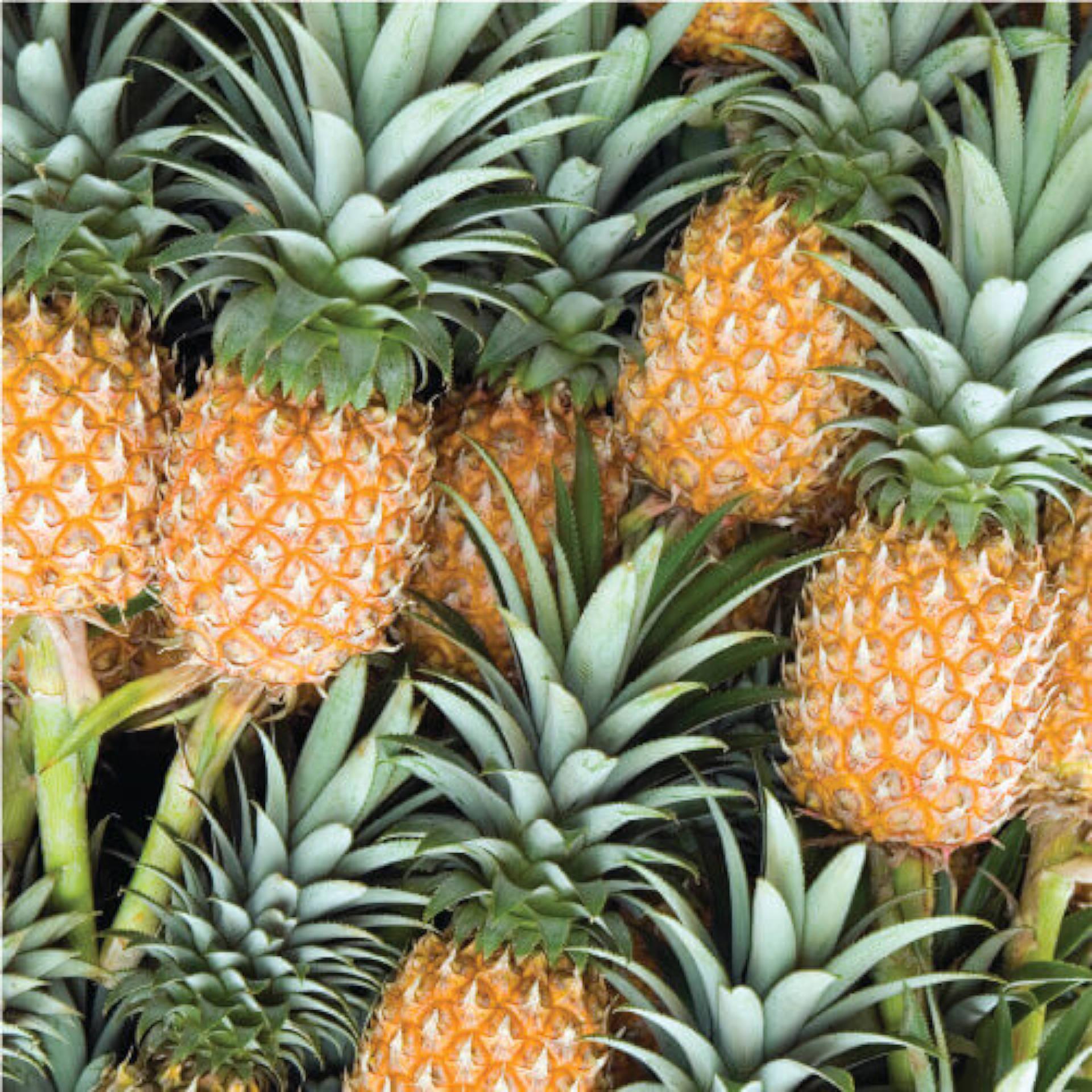 Bromelain