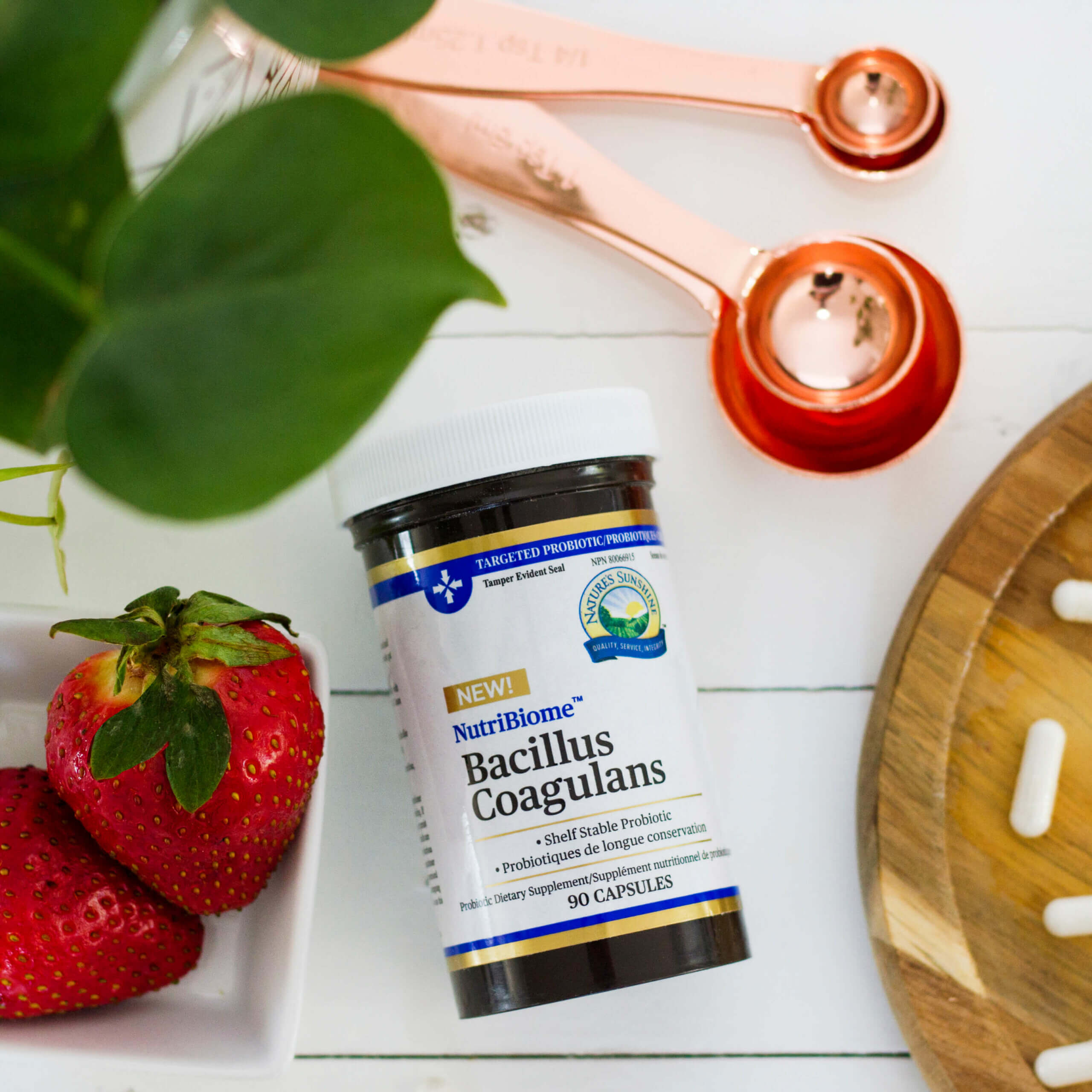 NutriBiome Bacillus Coagulans \u2013 Nature\u2019s Sunshine Canada